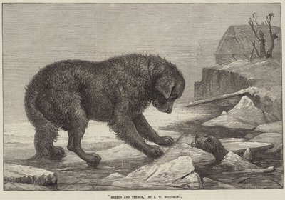 Erebus and Terror by John William Bottomley